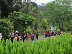 我校离退休教职工赴广西药用植物园开展春游活动
