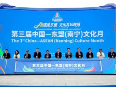 我校师生在中国—东盟(南宁)文化月开幕式亮丽登场